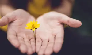 Manos abiertas sostienen una flor amarilla, simbolizando el acto de perdonarse a uno mismo y aceptar la belleza interior.