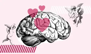 Un cerebro con corazones rosas y cupidos, ilustrando que es enamorarse.