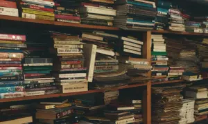 Estanterías repletas de libros, algunos con títulos sugerentes como "libros prohibidos", crean un laberinto de conocimiento y misterio.