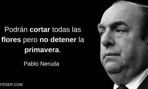 Retrato de Pablo Neruda con la frase: "Podrán cortar todas las flores pero no detener la primavera.