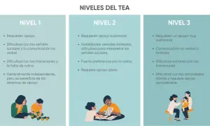 Niveles del TEA: Nivel 2 describe apoyo sustancial, habilidades verbales limitadas y preferencia por la rutina.