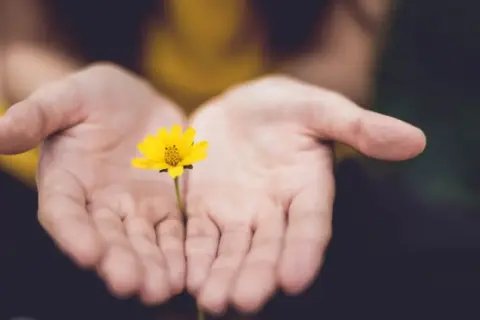 Manos abiertas sostienen una flor amarilla, simbolizando el acto de perdonarse a uno mismo y aceptar la belleza interior.