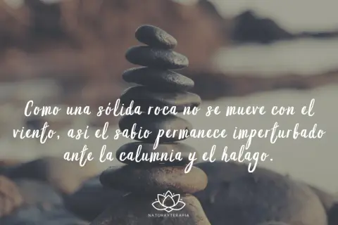 Piedras apiladas con frases budistas: "Como una sólida roca no se mueve con el viento, así el sabio permanece imperturbado ante la calumnia y el halago.