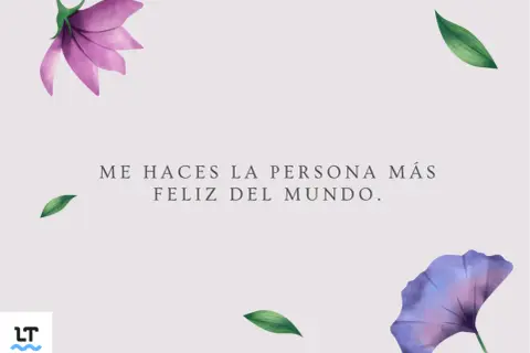 Me haces la persona más feliz del mundo." Una frase para decir que te gusta, con flores y hojas delicadas.