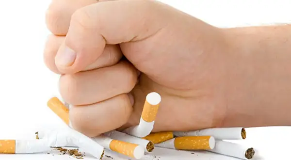 Puño aplastando cigarrillos. La lucha contra cuanto dura el mono del tabaco es posible.