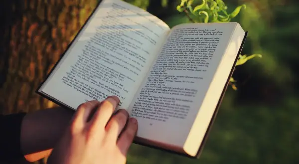 Manos sostienen un libro abierto, ideal para libros para empezar a leer adultos. La luz del sol ilumina las páginas.