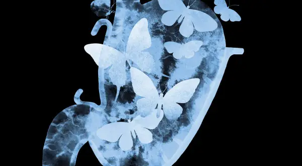 Silueta de un estómago con mariposas revoloteando en su interior, evocando la sensación de mariposas en el estómago.