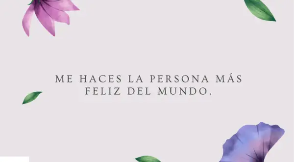 Me haces la persona más feliz del mundo." Una frase para decir que te gusta, con flores y hojas delicadas.