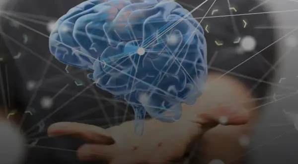 Cerebro azul translúcido sobre una mano, con una red de conexiones que representa las ramas de la psicología y el conocimiento.