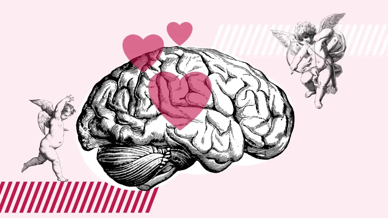 Un cerebro con corazones rosas y cupidos, ilustrando que es enamorarse.