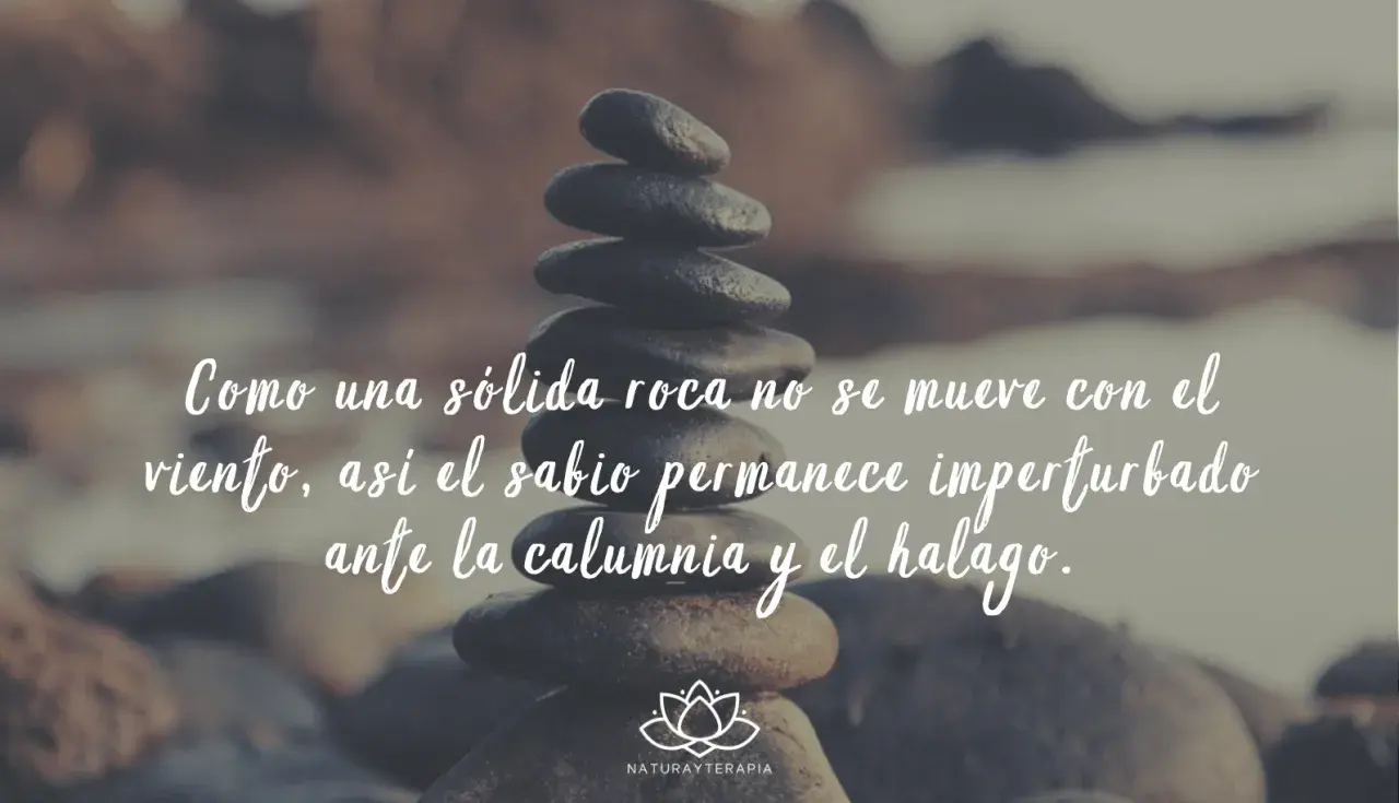 Piedras apiladas con frases budistas: "Como una sólida roca no se mueve con el viento, así el sabio permanece imperturbado ante la calumnia y el halago.