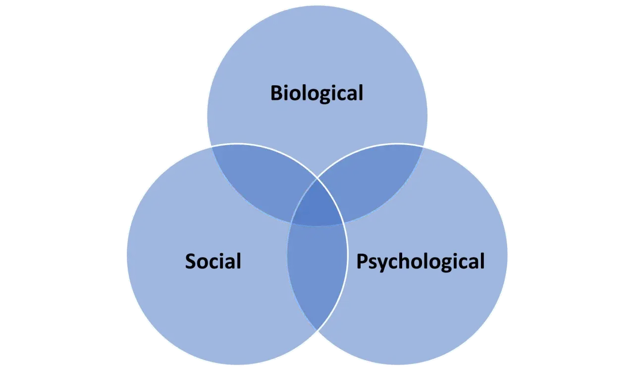 Diagrama de Venn que ilustra el modelo biopsicosocial, mostrando la interconexi&oacute;n de los factores biol&oacute;gicos, psicol&oacute;gicos y sociales.
