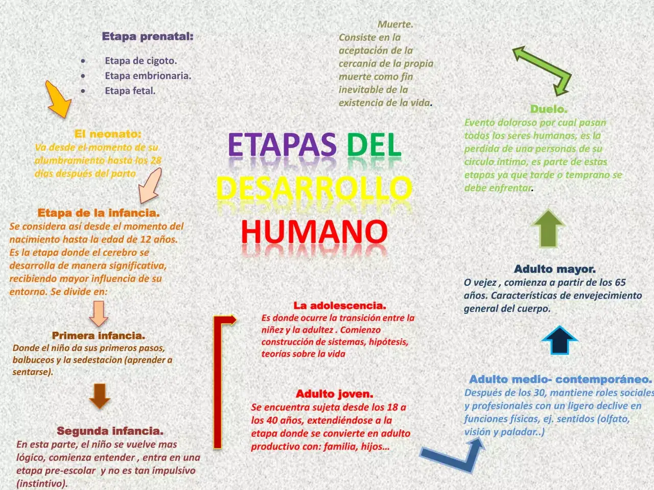 Diagrama de las etapas del desarrollo humano, desde la prenatal hasta la vejez, incluyendo duelo y muerte.