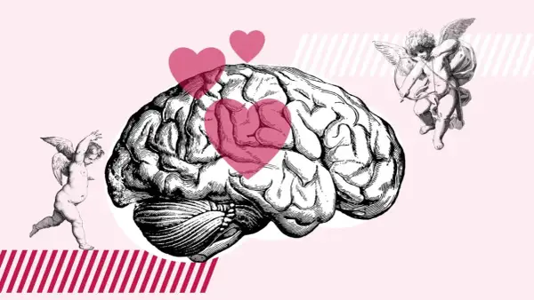 Un cerebro con corazones rosas y cupidos, ilustrando que es enamorarse.