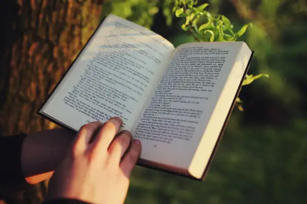 Manos sostienen un libro abierto, ideal para libros para empezar a leer adultos. La luz del sol ilumina las páginas.