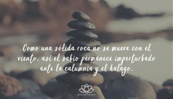 Piedras apiladas con frases budistas: "Como una sólida roca no se mueve con el viento, así el sabio permanece imperturbado ante la calumnia y el halago.