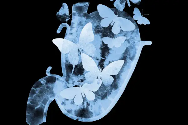 Silueta de un estómago con mariposas revoloteando en su interior, evocando la sensación de mariposas en el estómago.