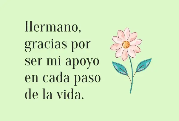 Hermano, gracias por ser mi apoyo en cada paso. Estas frases de hermanos son un tesoro.