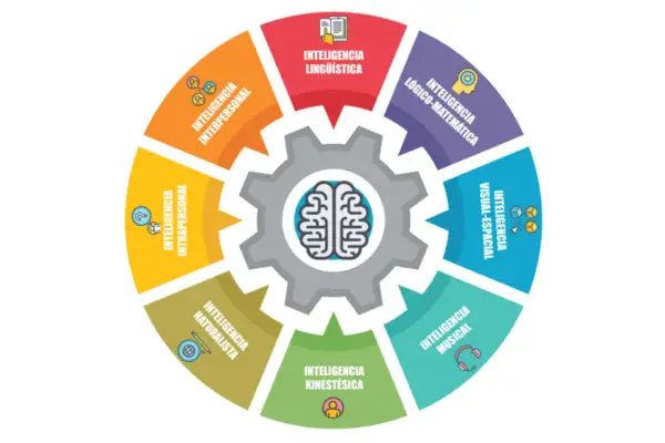 Diagrama circular muestra las inteligencias múltiples: lingüística, lógico-matemática, visual-espacial, musical, kinestésica, naturalista, intrapersonal e interpersonal, con un cerebro en el centro.